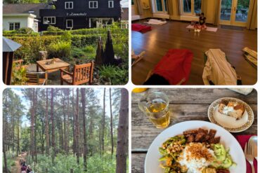 Terugblik: Een stralend Community Yoga Festival 2026!